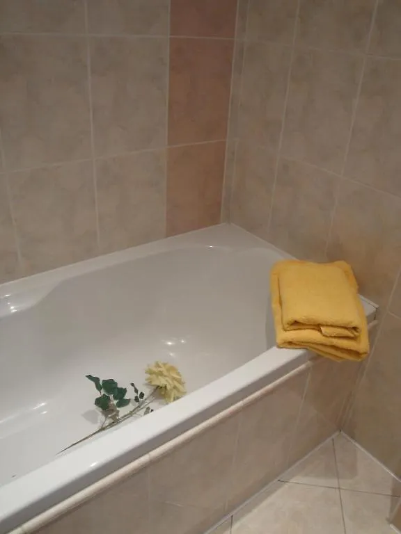 Pension Apartment Granit Praag Gasthuis